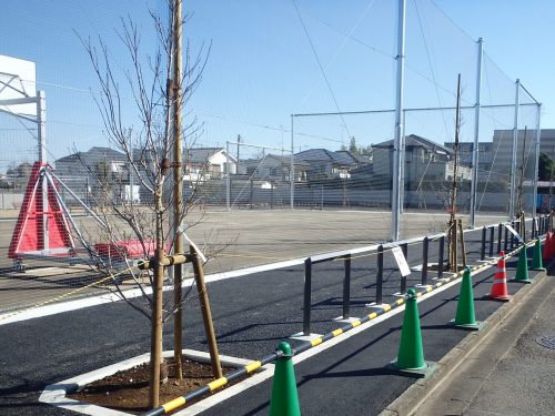 （仮称）泉小学校跡地公園整備工事 イメージ2